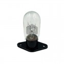 Microwave lamp.